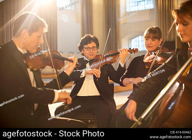 Classical quartet performing