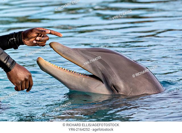 Atlantis Resort & Casino Dolphin Cay Paradise Island Nassau, Bahamas