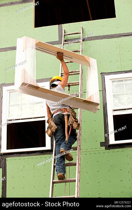Hispanic carpenter climbing ladder with new window frame