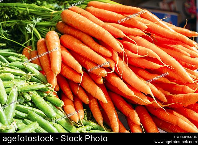 Fresh Vegetables Organic Green Beans And Orange Carrots. Production Of Local Food Market