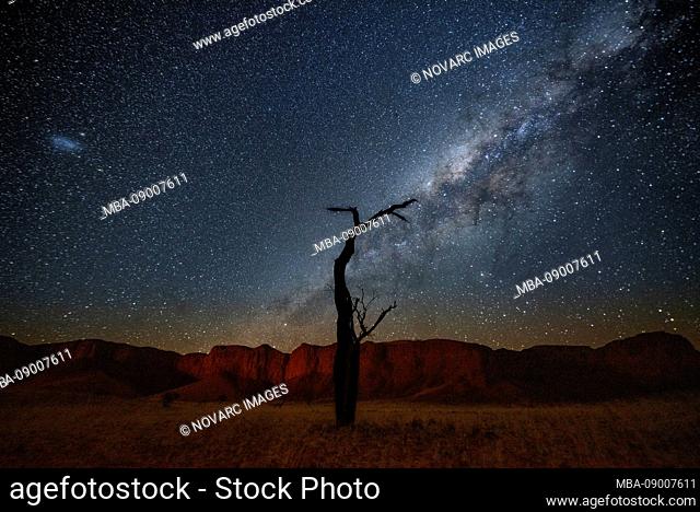 Dead tree in front of Milky Way, Namibia, Africa