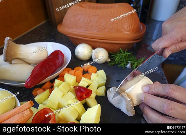 Southern German cuisine, preparing vegetables from the Roman pot, cutting mushrooms, herb mushrooms, red peppers, carrots, potato cubes, onions, knives