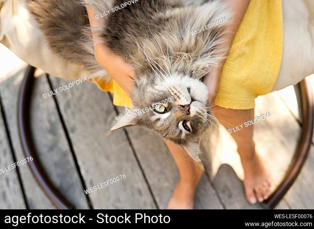 Girl sitting with pet cat on hanging chair