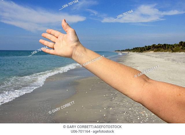 Arm greets the beach