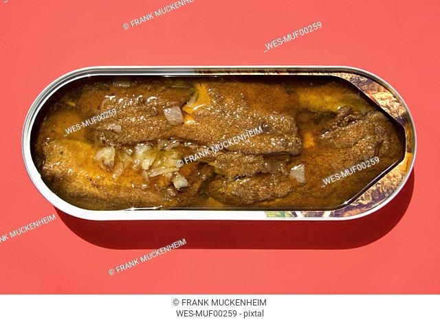 Open tin of fried hering, elevated view