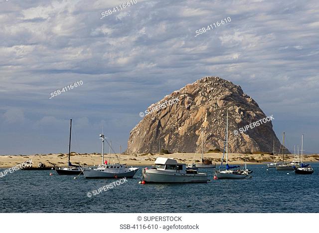 USA, California, Morro Bay, Boats moored in bay with Morro rock in background
