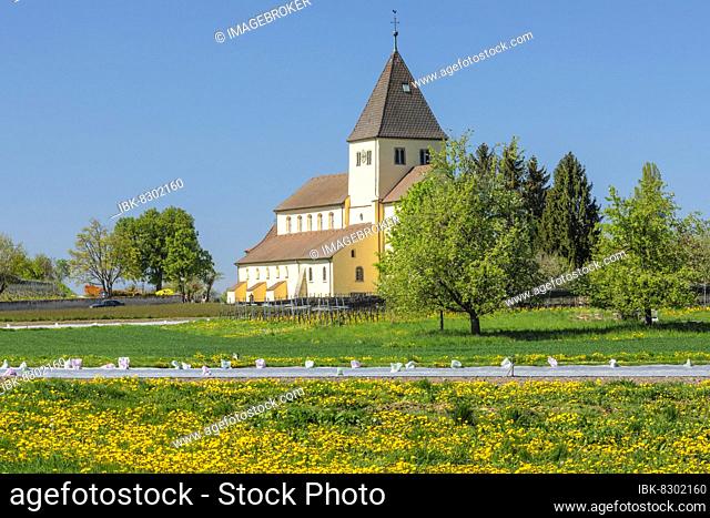 Church of St. George, Oberzell, UNESCO World Heritage Site, Reichenau Island, Lake Constance, Baden -Württemberg, Germany, Lake Constance, Reichenau