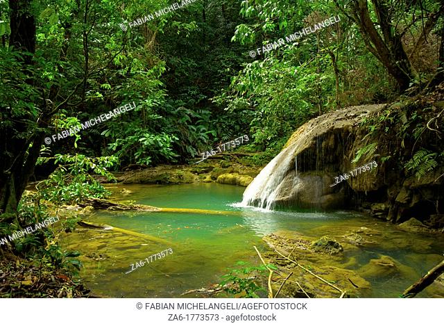 Waterfall and idyllic emerald pond in TurueÌpano National Park, Eastern Venezuela