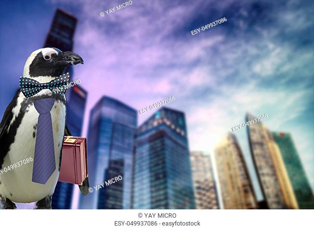 funny business penguin wearing a tie and suitcase isolated on a sky scrapers bank buildings background