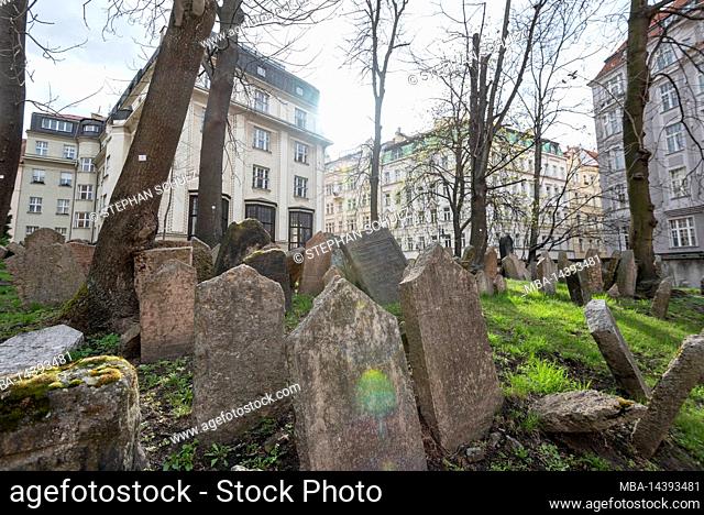 Gravestones, old Jewish cemetery, Jewish quarter, Jewish museum, Josefstadt, Prague, Czech Republic
