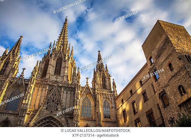 Cathedral of Barcelona or Cathedral of Santa Eulalia.Barcelona. Catalonia, Spain
