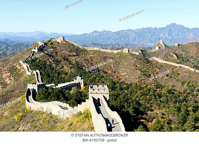 Great Wall of China, historical border fortress, restored section with watchtowers, winding its way over mountain ridge, Jinshanling, China