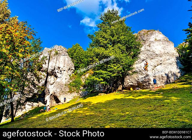 Podzamcze, Poland - August 25, 2020: Free climbers training at Jurassic limestone rock formations of Gora Birow Mountain near Ogrodzieniec Castle in Silesia in...