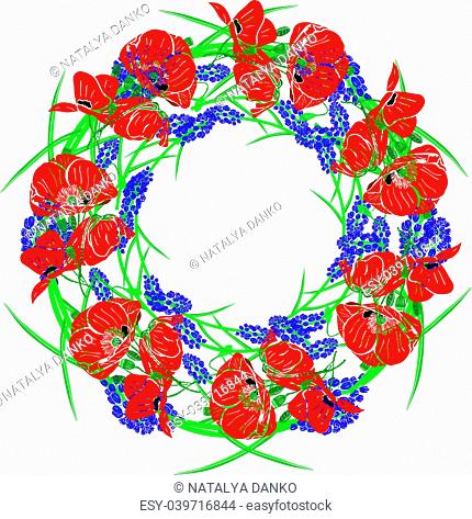 wreath of red blossoming poppies, green unblown buds and blue hyacinths isolated against a white background