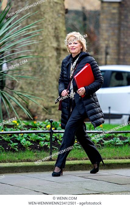 Cabinet Ministers arrive and depart from the weekly Cabinet Meeting in Downing Street, held on 26 January 2016. Featuring: Anna Soubry MP