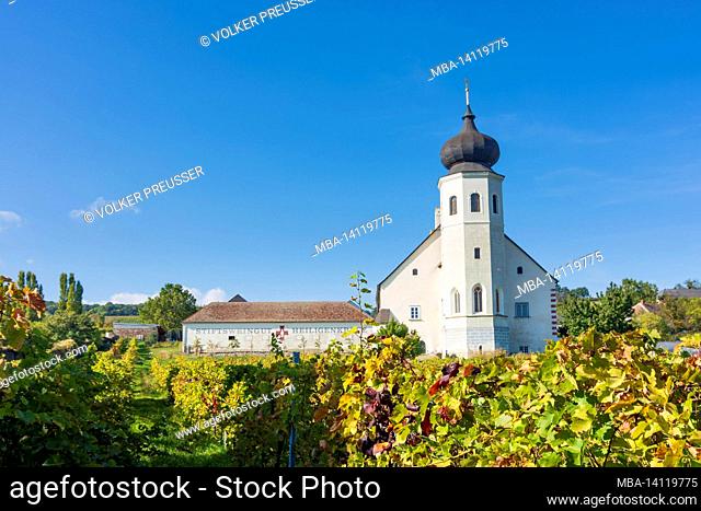 gumpoldskirchen, freigut thallern (abbey winery, stiftsweingut heiligenkreuz), chapel of st. john the baptist, vineyard in wienerwald, vienna woods