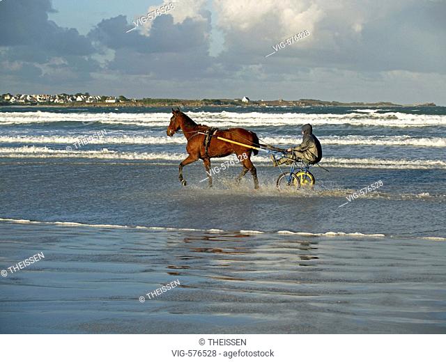jockey with running race horse on a beach, Finistere, Brittany, France. - 24/10/2006