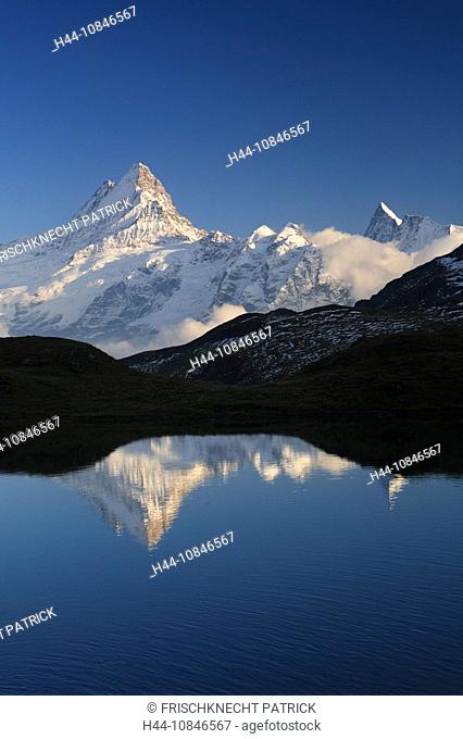Swiss Alps, reflection, Bachalpsee, lake, water, Schreckhorn, Finsteraarhorn, mountains, mountain, alpine, Landscape