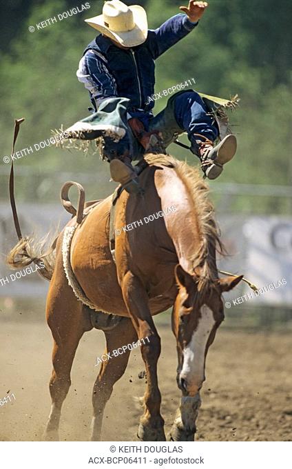 Bronco rider at Kispiox Valley rodeo, Kispiox, British Columbia, Canada