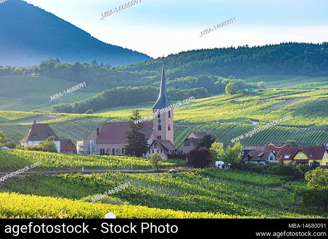 Blienschwiller (Blienschweiler), village Blienschwiller (Blienschweiler), vineyards in Alsace (Elsass), Bas-Rhin (Unterelsass), France