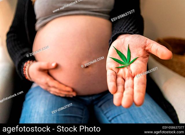A selective focus shot as a pregnant caucasian woman holds a marijuana leaf in the palm of hand. Cannabis, weed, hemp, used for medicinal purposes