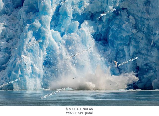 Calved icebergs from the South Sawyer Glacier in Tracy Arm-Fords Terror Wilderness Area in Southeast Alaska, United States of America, North America