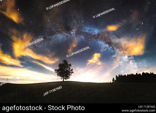A tree in a meadow near Steinbach-Hallenberg above the Milky Way, Thuringia, Germany