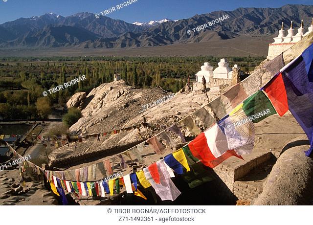 India, Ladakh, Shey Gompa, prayer flags