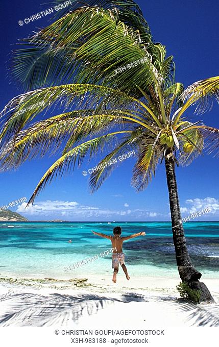 Palm island, Grenadines islands, Saint Vincent and the Grenadines, Winward Islands, Lesser Antilles, Caribbean Sea
