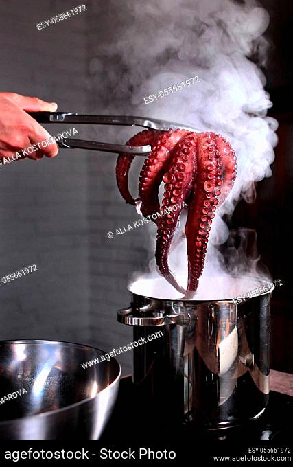 Boiled octopus in the hands of the chef. The whole carcass of an octopus. Pot of hot water in the kitchen. Unrecognizable photo. Copy space