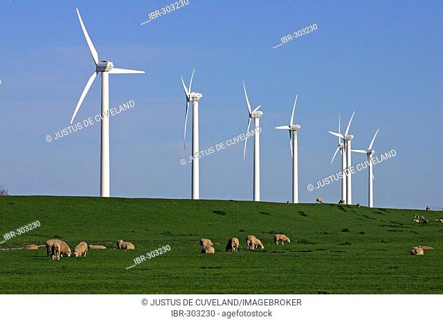 Windmills on a dike with sheeps - wind engines - wind generators - North Friesland Schleswig-Holstein Germany Europe