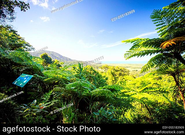 The view from Mount Alexandra lookout in the Daintree region towards the Great Barrier Reef and Coral Sea on a sunny winter's day in Queensland, Australia