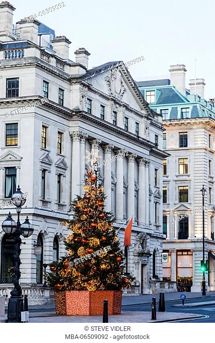 England, London, Regent Street, Waterloo Place and St James Christmas Tree
