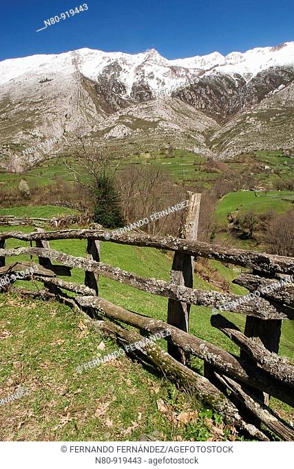 Valle del río Nalón  Parque Natural de Redes  Reserva de la Biosfera  Concejo de Caso  Asturias  España