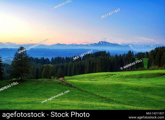 Allgäu landscape before sunrise. Meadows and forests in front of snow covered mountains. Bavaria, Germany, Europe