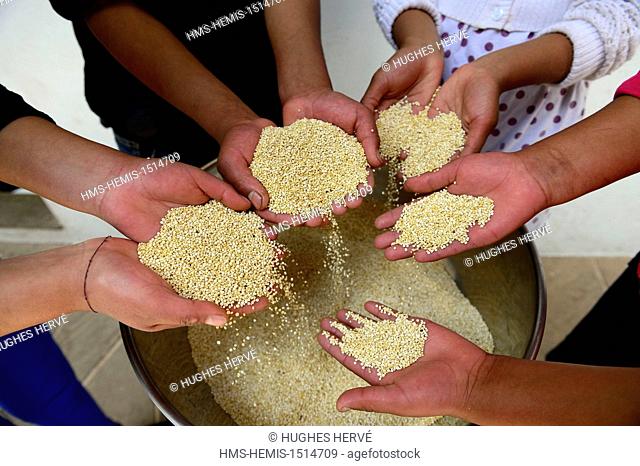 Peru, Cuzco Province, Cuzco, listed as World Heritage by UNESCO, children of the Ninos Unidos Peruanos Charitable Foundation preparing a quinoa soup