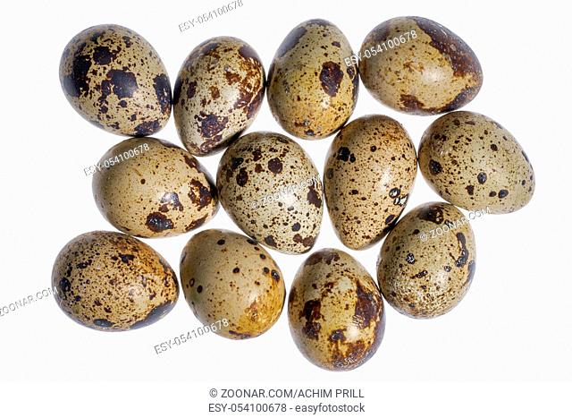 some brown dappled quail eggs in white back