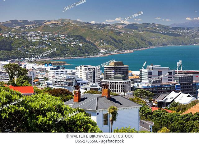 New Zealand, North Island, Wellington, city skyline from the Wellington Botanic Gardens