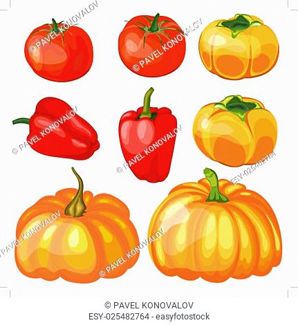 Set of Thankgivings Day vegetable icons. Vector Illustration 10 EPS with transparency