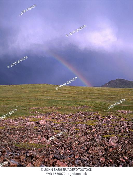 Rainbow and storm over alpine tundra, near Beartooth Pass, Beartooth Plateau, Shoshone National Forest, Wyoming, USA