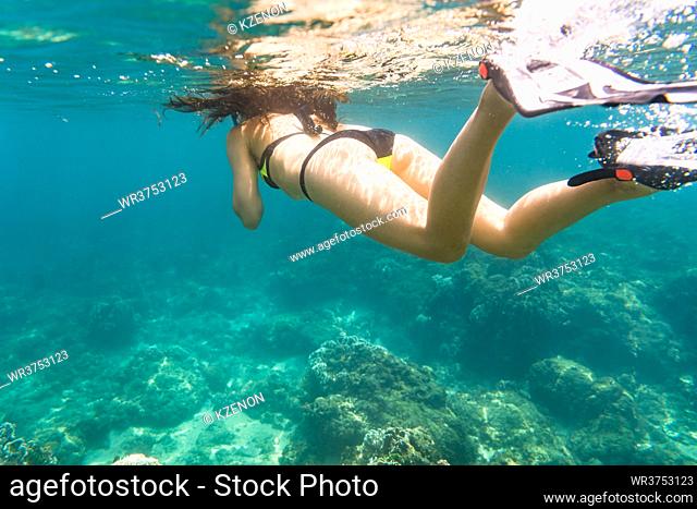 Woman snorkelling over floor of tropical sea in her summer vacation