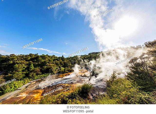 Rainbow Terrace, Orakei Korako Geothermal Park, Taupo Volcanic Zone, North Island, New Zealand