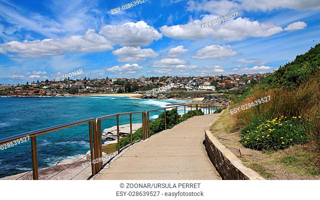 Path leading to Tamarama Beach, Sydney