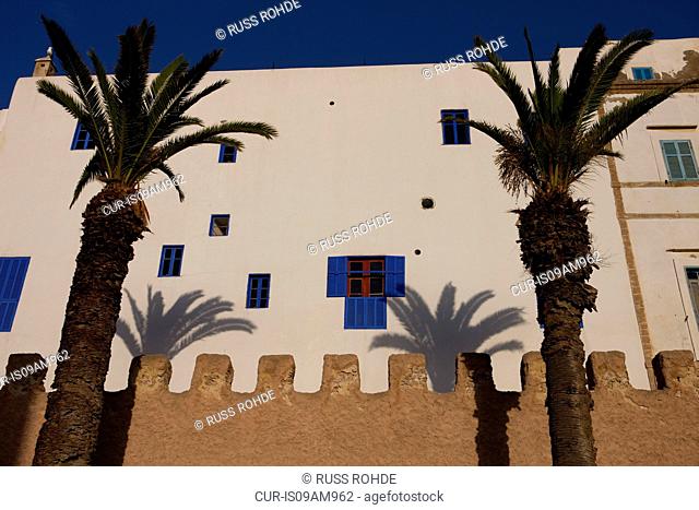 Palm trees and fort walls, Essaouira, Morocco