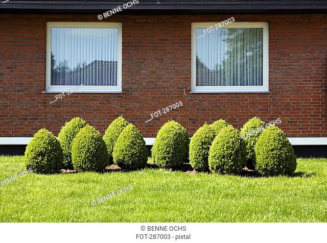 Topiary garden in front of suburban house