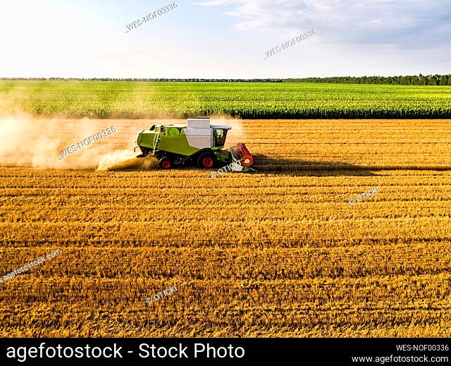 Drone view of combine harvester in wheat field