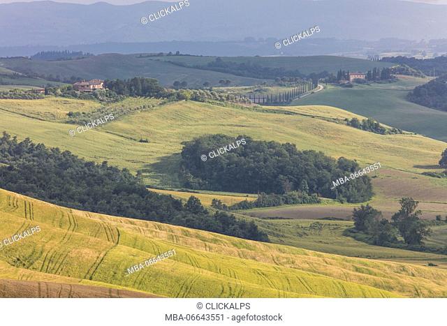 Green rolling hills and farm houses of Crete Senesi (Senese Clays) province of Siena Tuscany Italy Europe