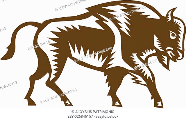 Illustration of an american bison buffalo bull viewed from the side set on isolated white background done in retro woodcut style