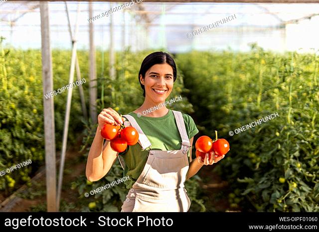 Smiling female farm worker standing with fresh red tomatoes at greenhouse