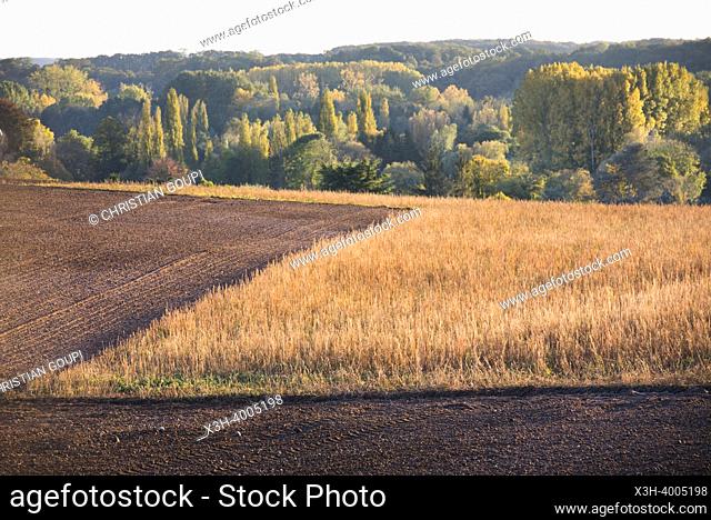 Countryside landscape around Nogent-le-Roi, Eure River Valley, Eure-et-Loir department, Centre-Val-de-Loire region, France, Europe